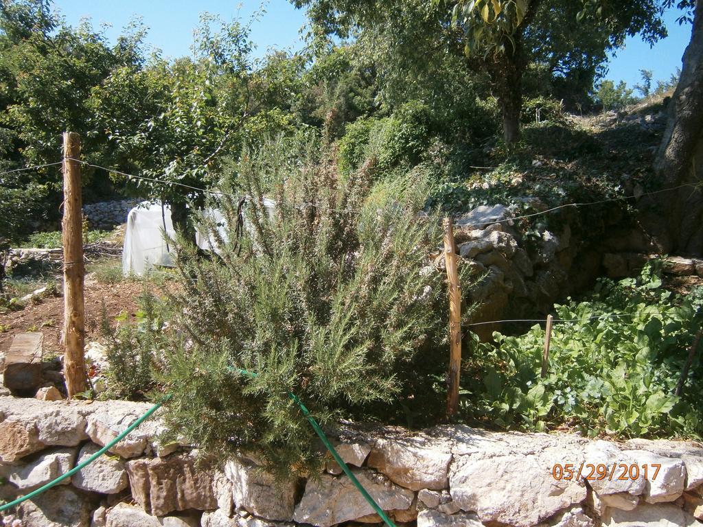 Holiday Home Loznati เซรส ภายนอก รูปภาพ