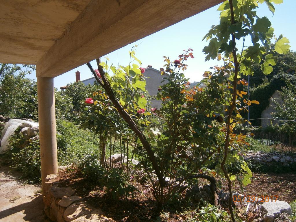 Holiday Home Loznati เซรส ภายนอก รูปภาพ