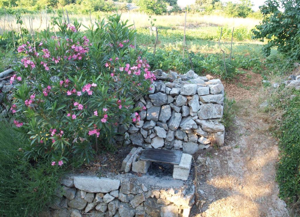 Holiday Home Loznati เซรส ภายนอก รูปภาพ
