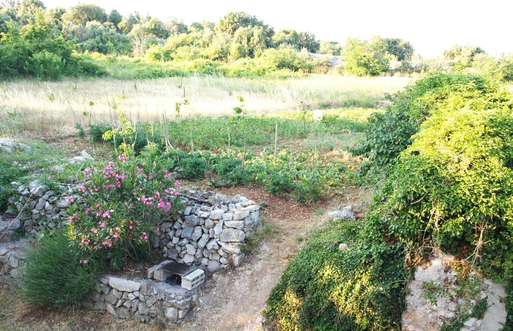 Holiday Home Loznati เซรส ภายนอก รูปภาพ
